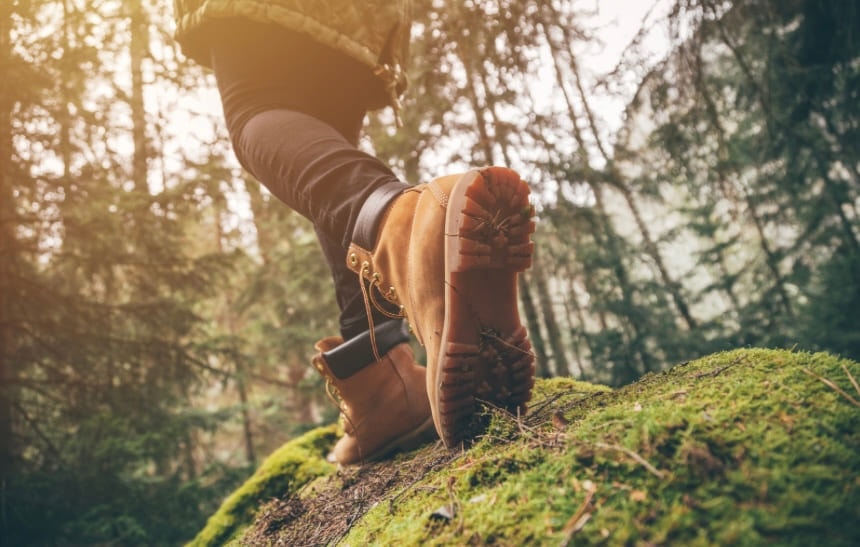 Walking boots standing on a mossy rock in a forest