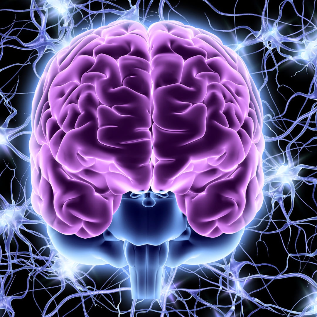 An illustration of a brain surrounded by firing neural connections