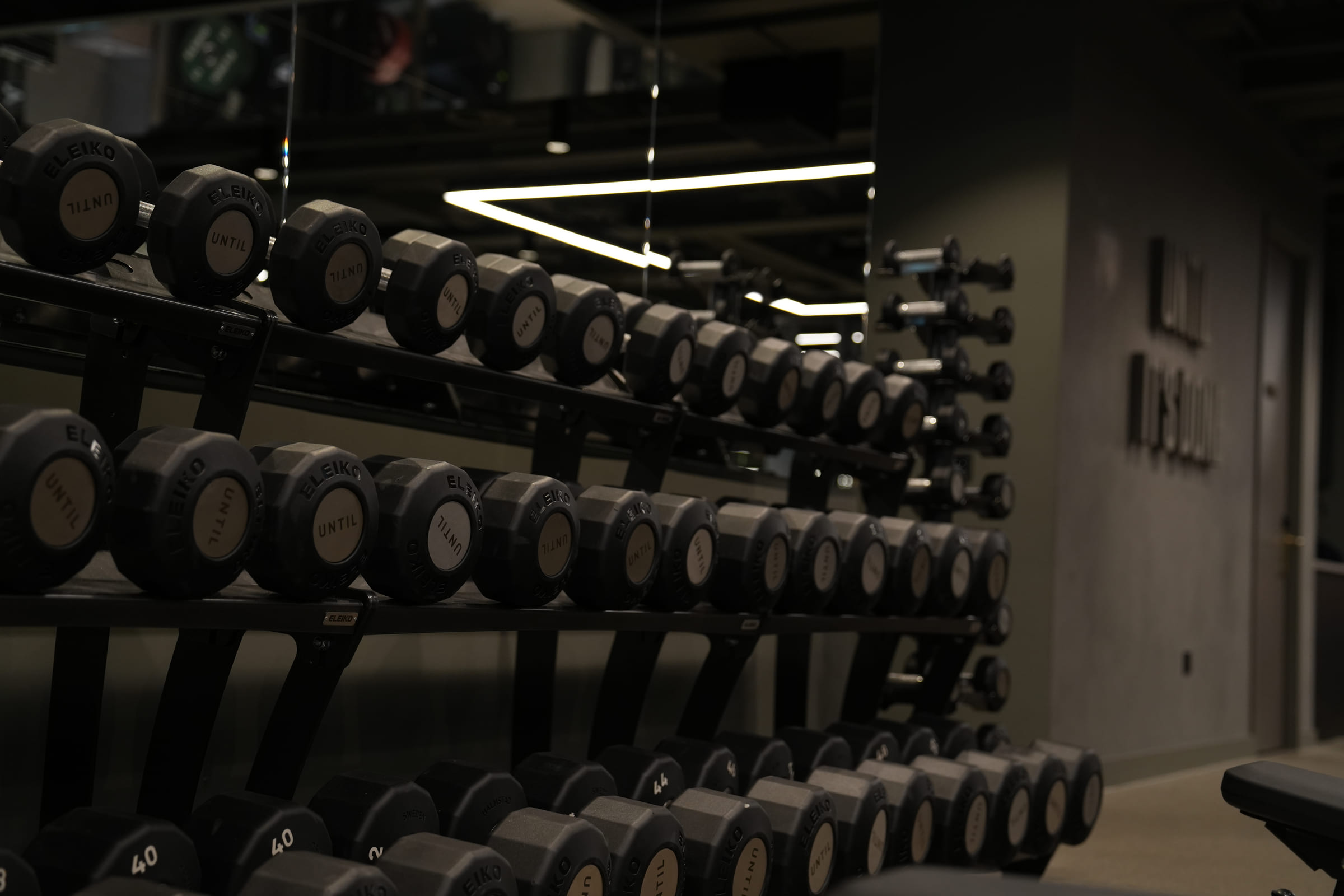 Racked dumbbells running the length of the training floor